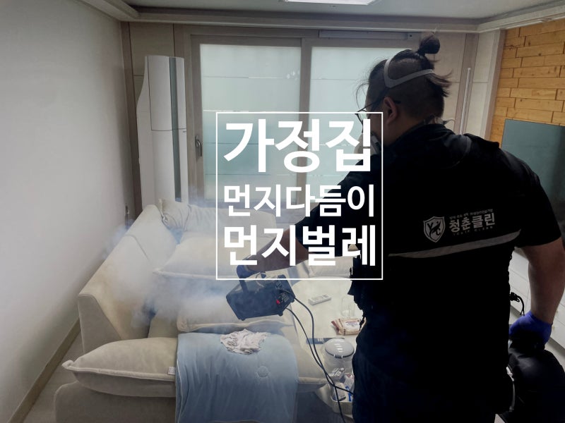 가정집 먼지벌레(먼지다듬이) 퇴치업체 노하우로 방역 성공