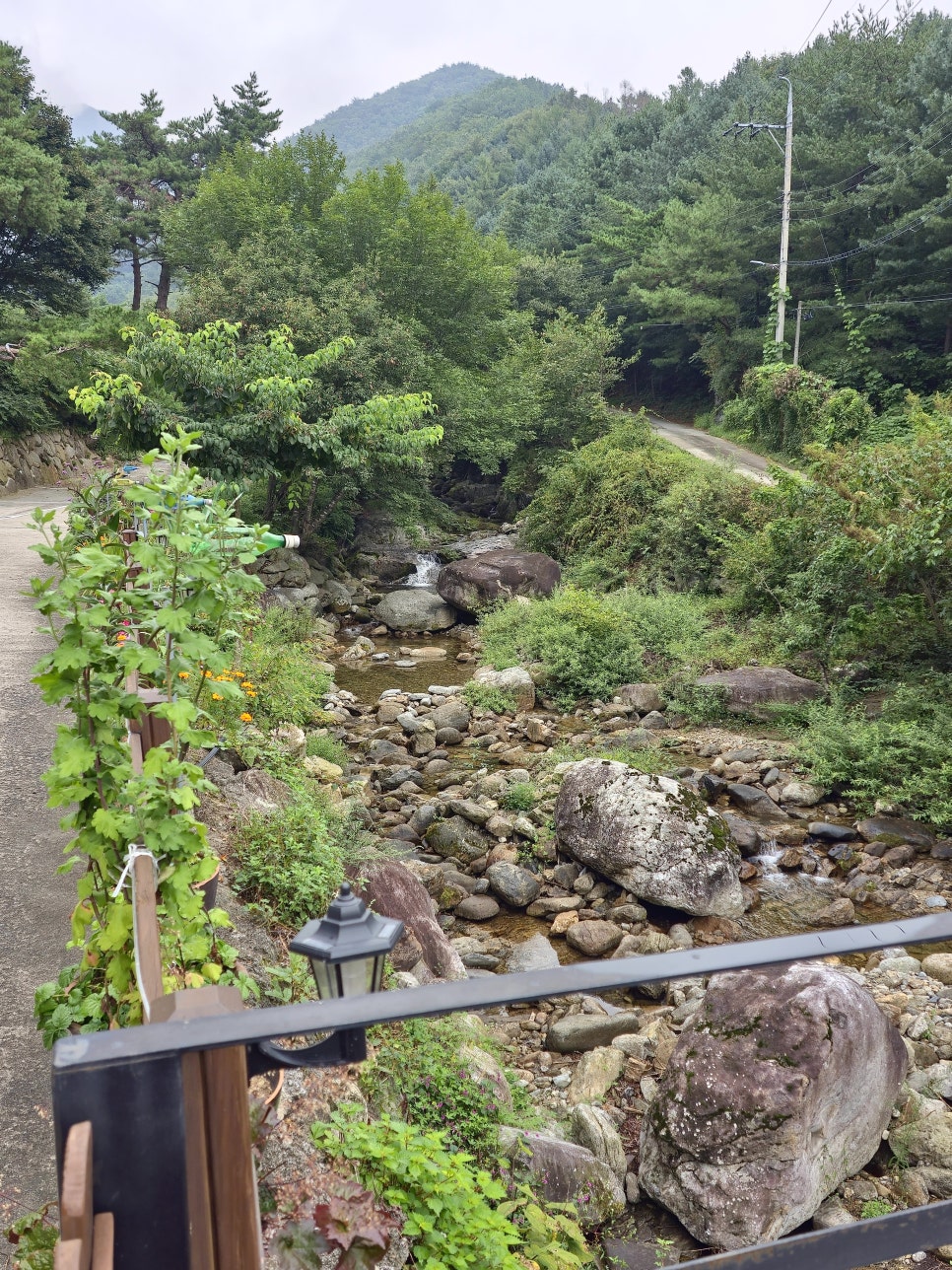 소백산 유곡펜션 사진 3