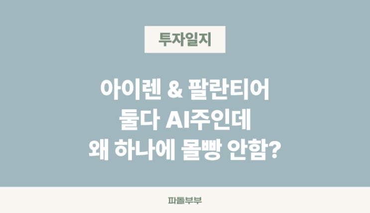  미국주식 AI 관련주 성장주 팔란티어 PLTR 아이렌 IREN 꼭 하나에 몰빵 집중투자 안하는 이유