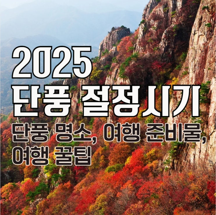  2025년 단풍 절정 시기 언제? 단풍 명소 안내 및 여행 준비물과 꿀팁