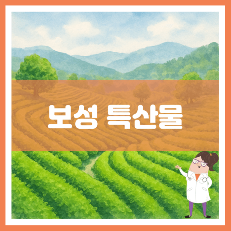  보성 특산물에 대해 알아봐요