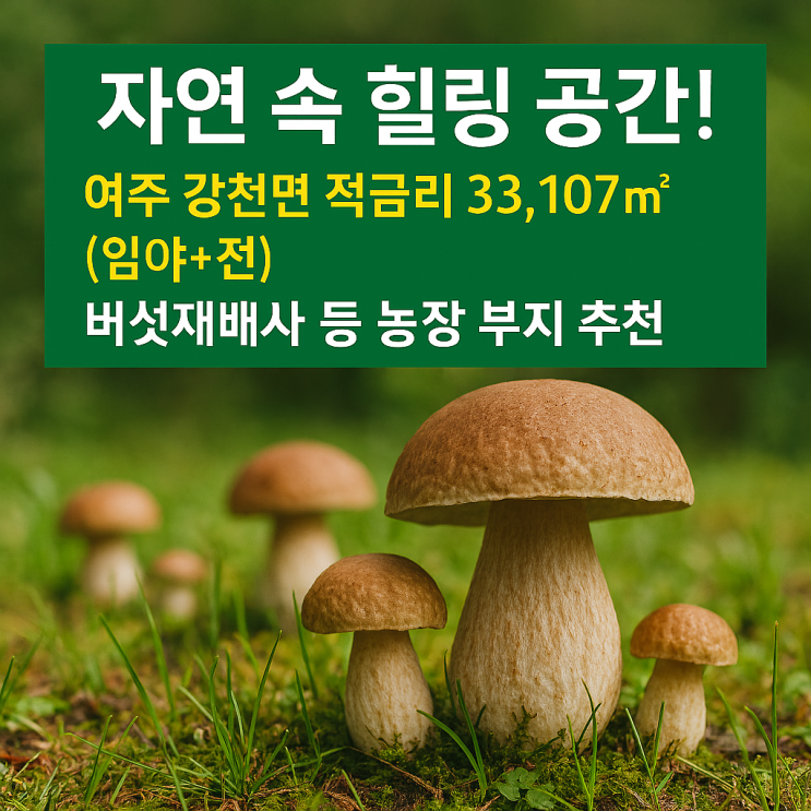  여주 강천면  토지 33,107 - 버섯재배사 부지로15억원
