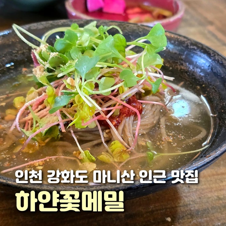  인천 강화도 맛집 추천 하얀꽃메밀 정식 후기