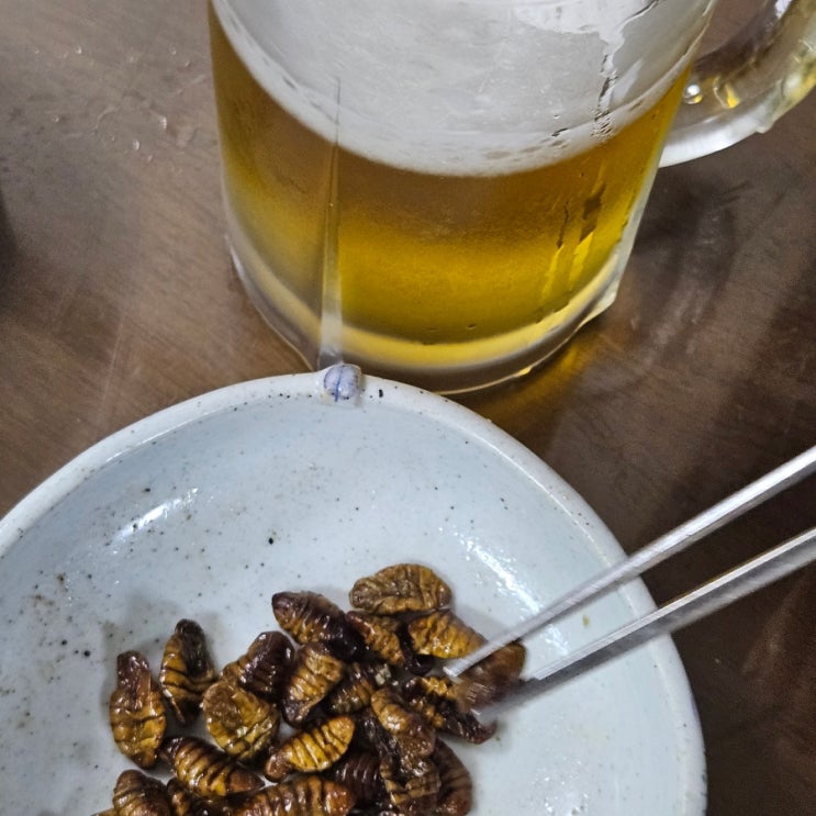  간단한술안주 추천 고단백 간식 건조 마른 번데기 어물전꼴뚜기 건데기