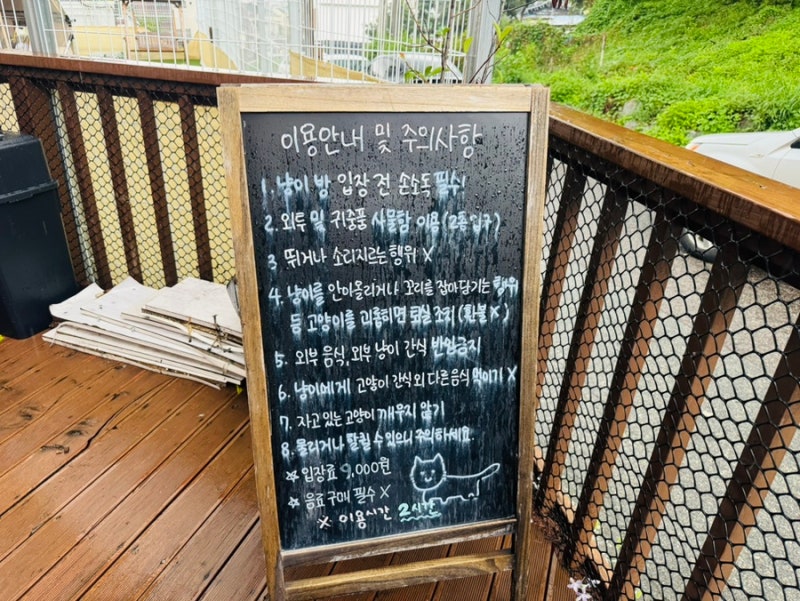 사진 2