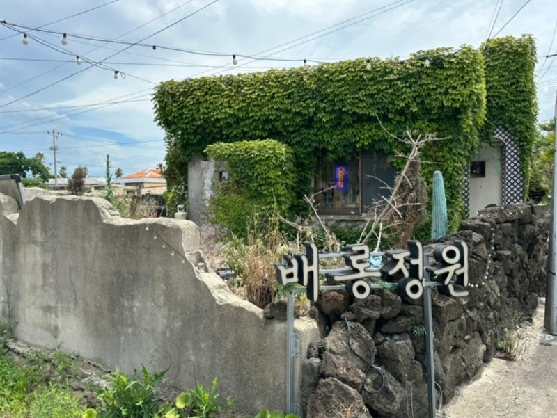 사진 2