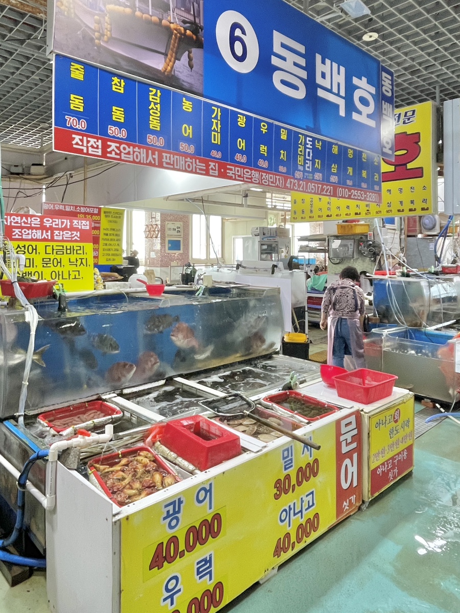 동백호 사진 4
