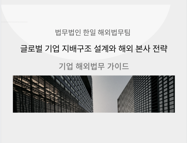  글로벌 기업 지배구조 설계와 해외 본사 전략