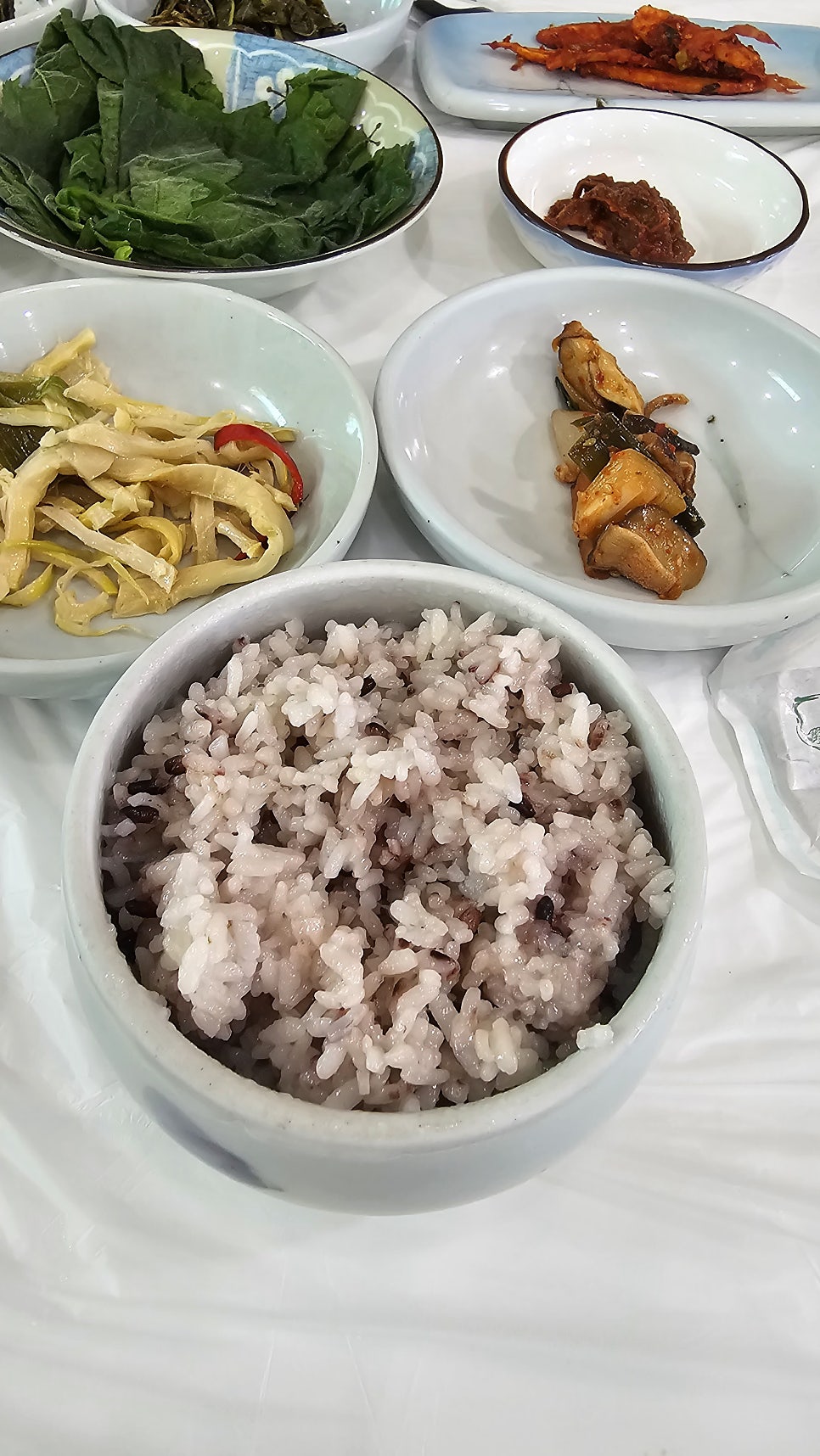 향정원 사진 4