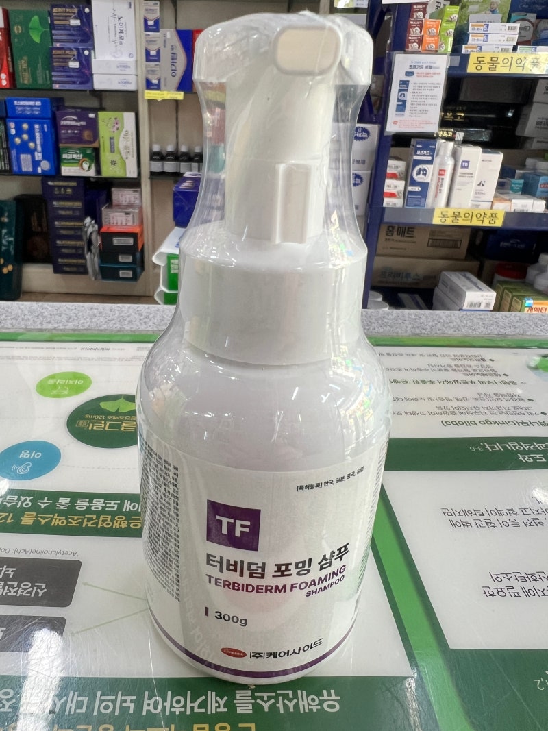 사진 2