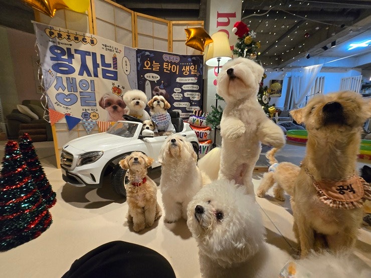 사진 6