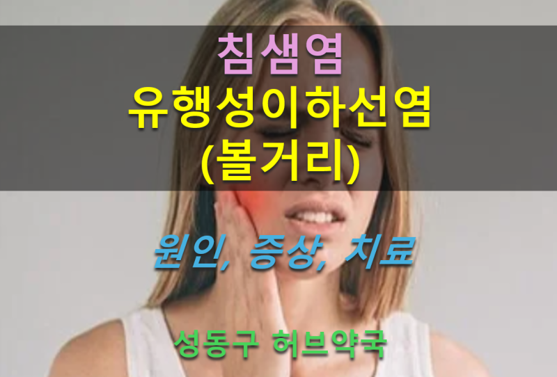 침샘염 _ 원인, 증상, 치료, 찜질법, 유행성이하선염(볼거리, 볼걸이) 격리, 예방접종