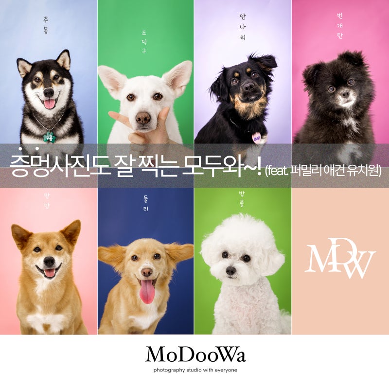 사진 7