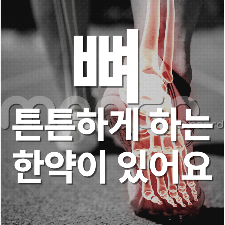  뼈를 튼튼하게 정자역 한의원에서 알려주는 8가지 방법! 손목 부러져본 원장이 알려드립니다.