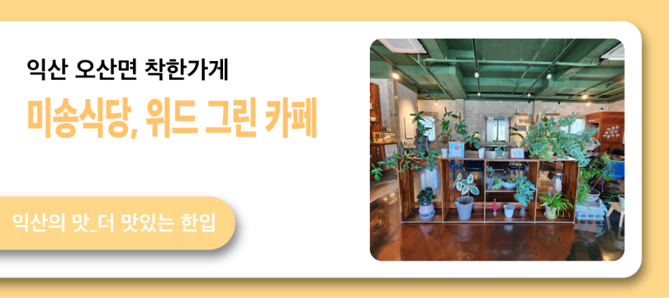 미송 사진 1