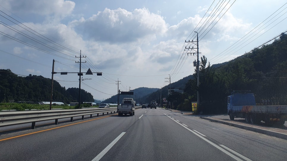 럼프 사진 5
