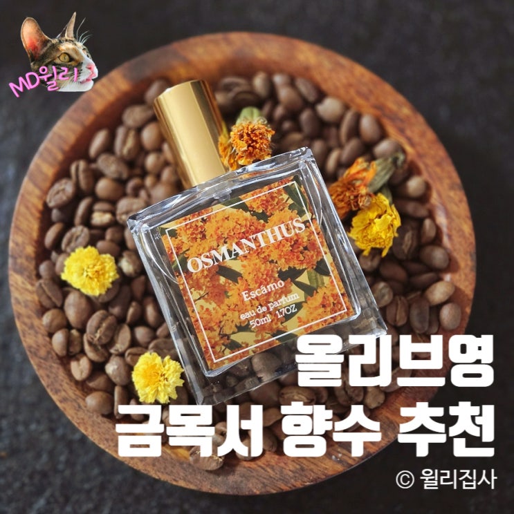  올리브영 금목서향수 일본 금목서 그 향 에스까모