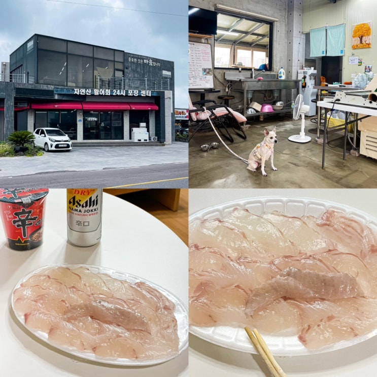  제주 애월 회포장 자연산 활어회 애월수산마트 가성비