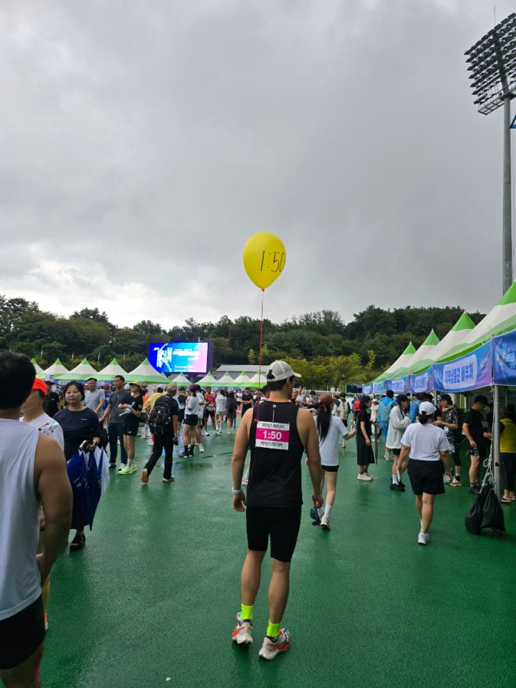  2025 제1회 영광광풍마라톤대회 5km 참가후기 기록 사진 조회