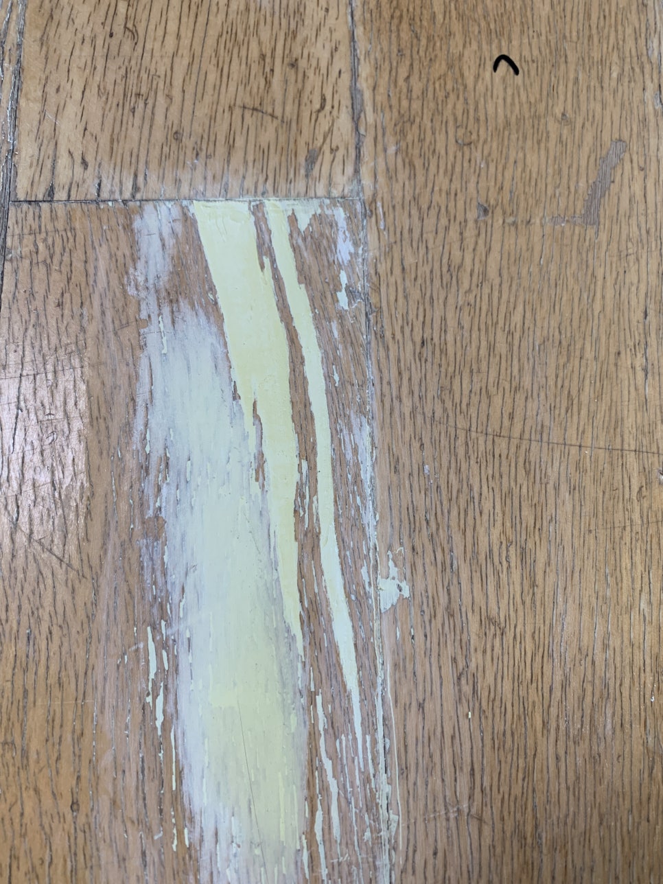 강화마루 변색 찍힘 부분 교체 보수 비용 및 셀프 (신촌)