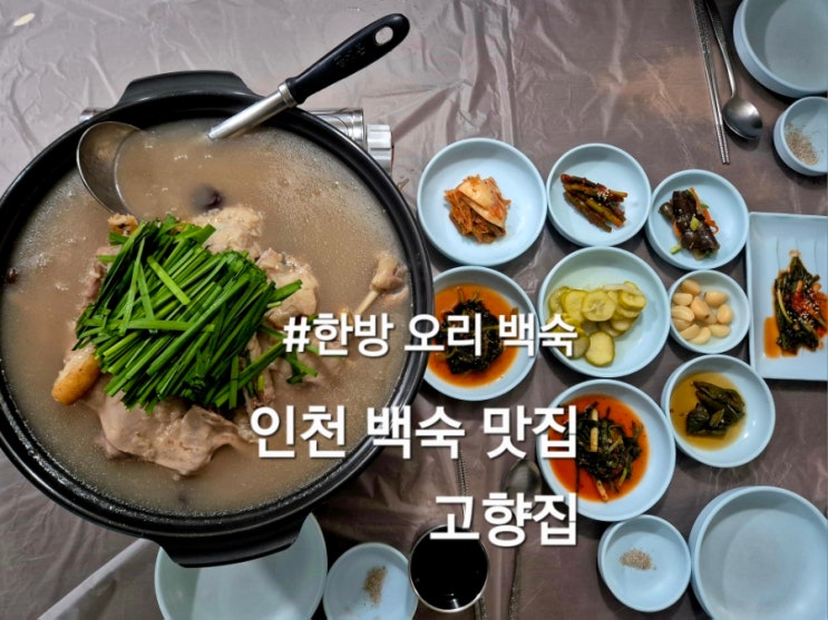  인천 백숙 맛집 장수동 고향집 오리백숙