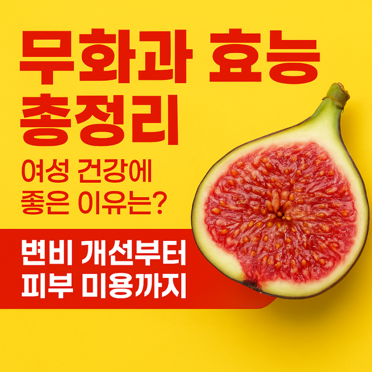 무화과 효능 총정리!여성 건강에 좋은 이유는? 변비 개선부터 피부 미용까지