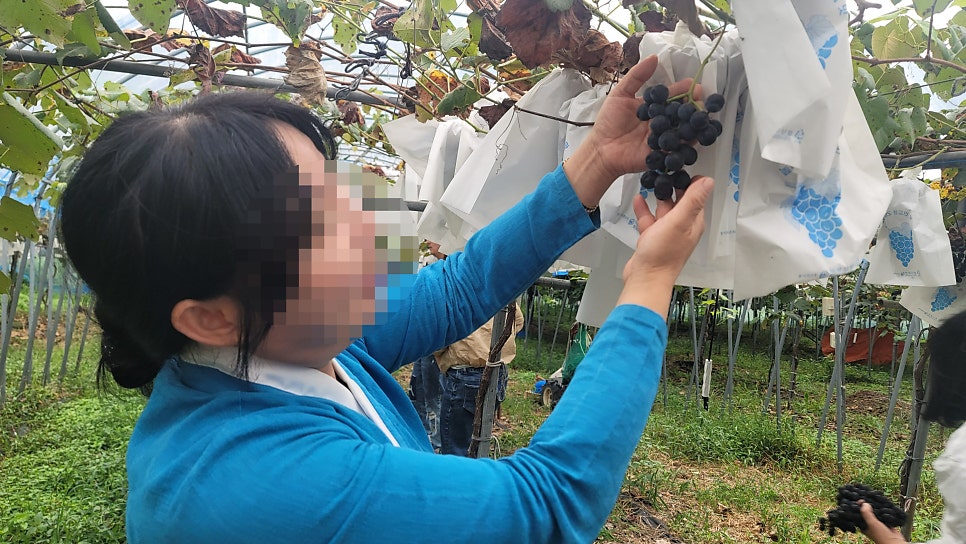 해현팜스테드 사진 5