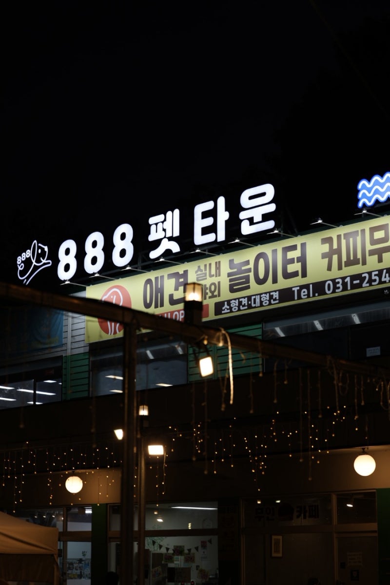 사진 5