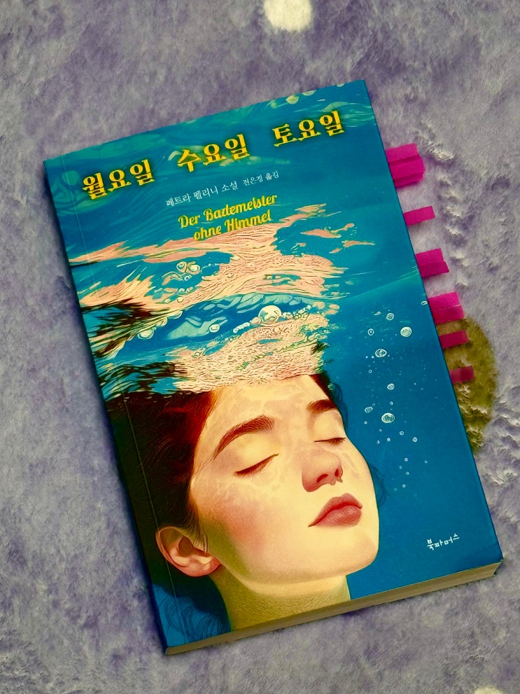  기억은 사라져도 마음은 쌓여가는 소설, 월요일 수요일 토요일