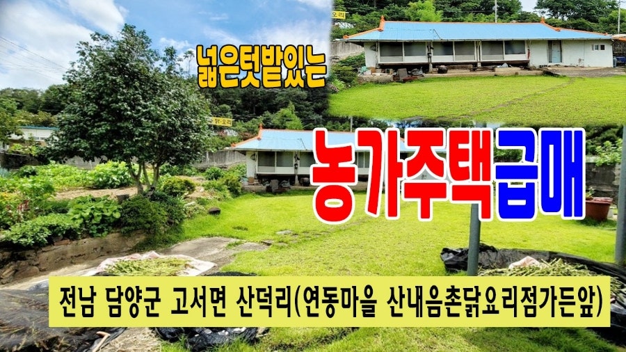 산내음 사진 1