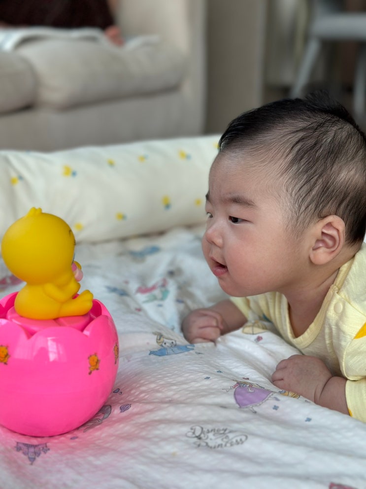 터미타임용 장난감 추천 아날로그 오르골 소리 오뚝이 인형