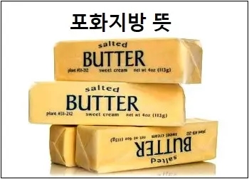  포화지방 불포화지방 뜻 및 차이 상세 설명