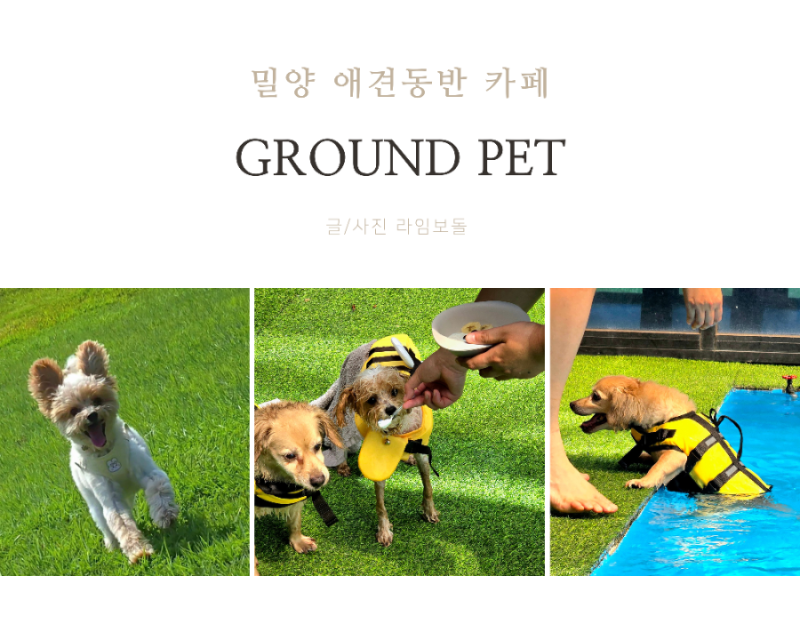 그라운드펫