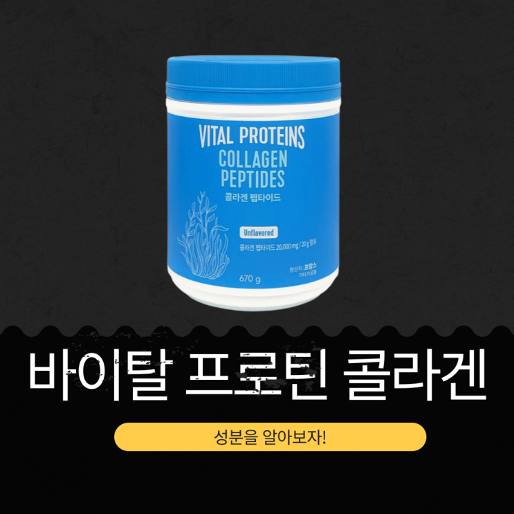  코스트코 피부 건강과 모발 강화 [바이탈 프로틴 콜라겐] 100% 프랑스산 콜라겐 성분 분석