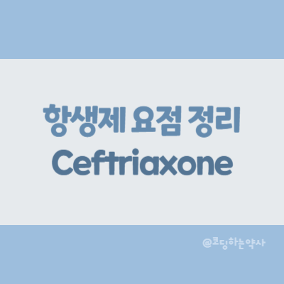  [항생제 요점 정리] Ceftriaxone (세프트리악손)