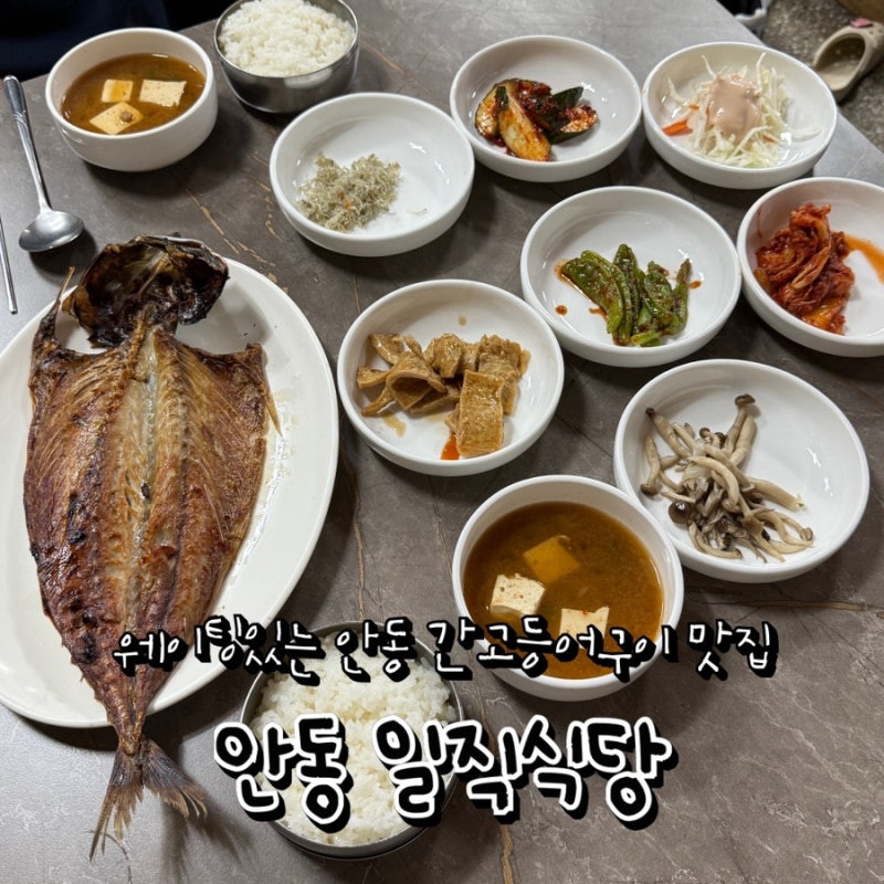 안동맛집 간고등어구이맛집 고등어택배 웨이팅맛집 전현무계획 일직식당