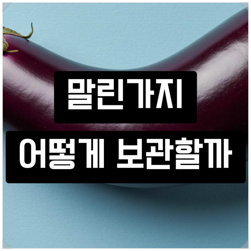 말린가지 보관법 : 오래 두고 맛있게 즐기는 방법