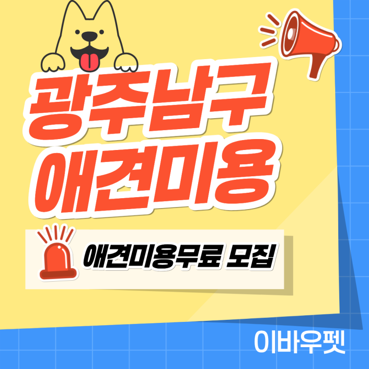  광주남구애견미용, 이바우펫에서 무료 가정견 미용 받아보세요!