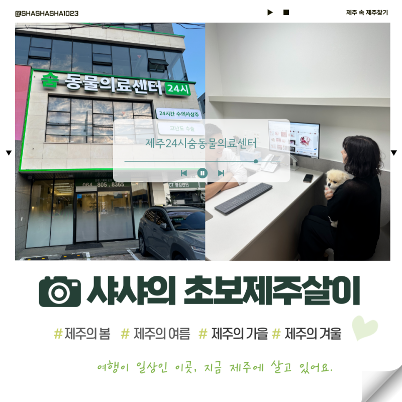 제주 애견 동반 여행 필수 체크 제주숨동물의료센터