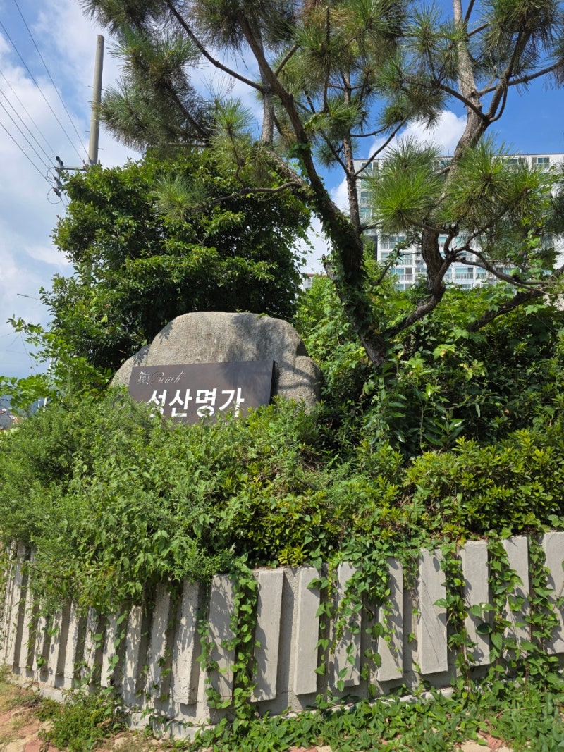 [진해 성산명가] 점심특선으로 먹기 좋은 소고기 맛집