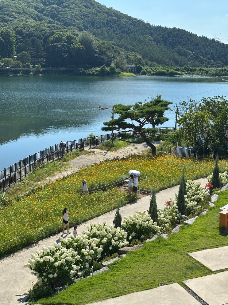  서울 근교 대형카페 브루다 양주 기산저수지