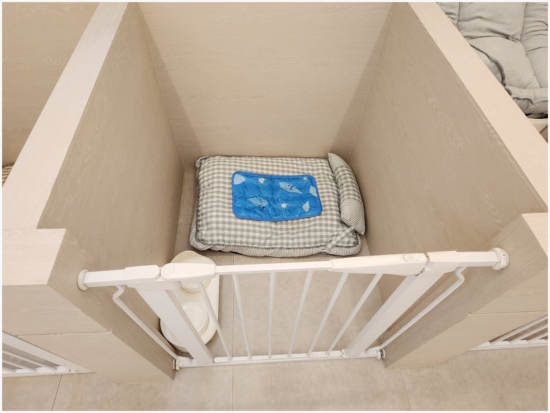 사진 9