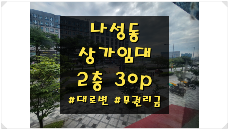  세종시 나성동 상가 임대 저렴한 임대료 BRT 도로변
