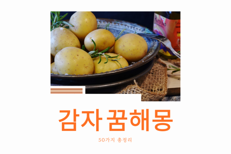  감자 꿈해몽