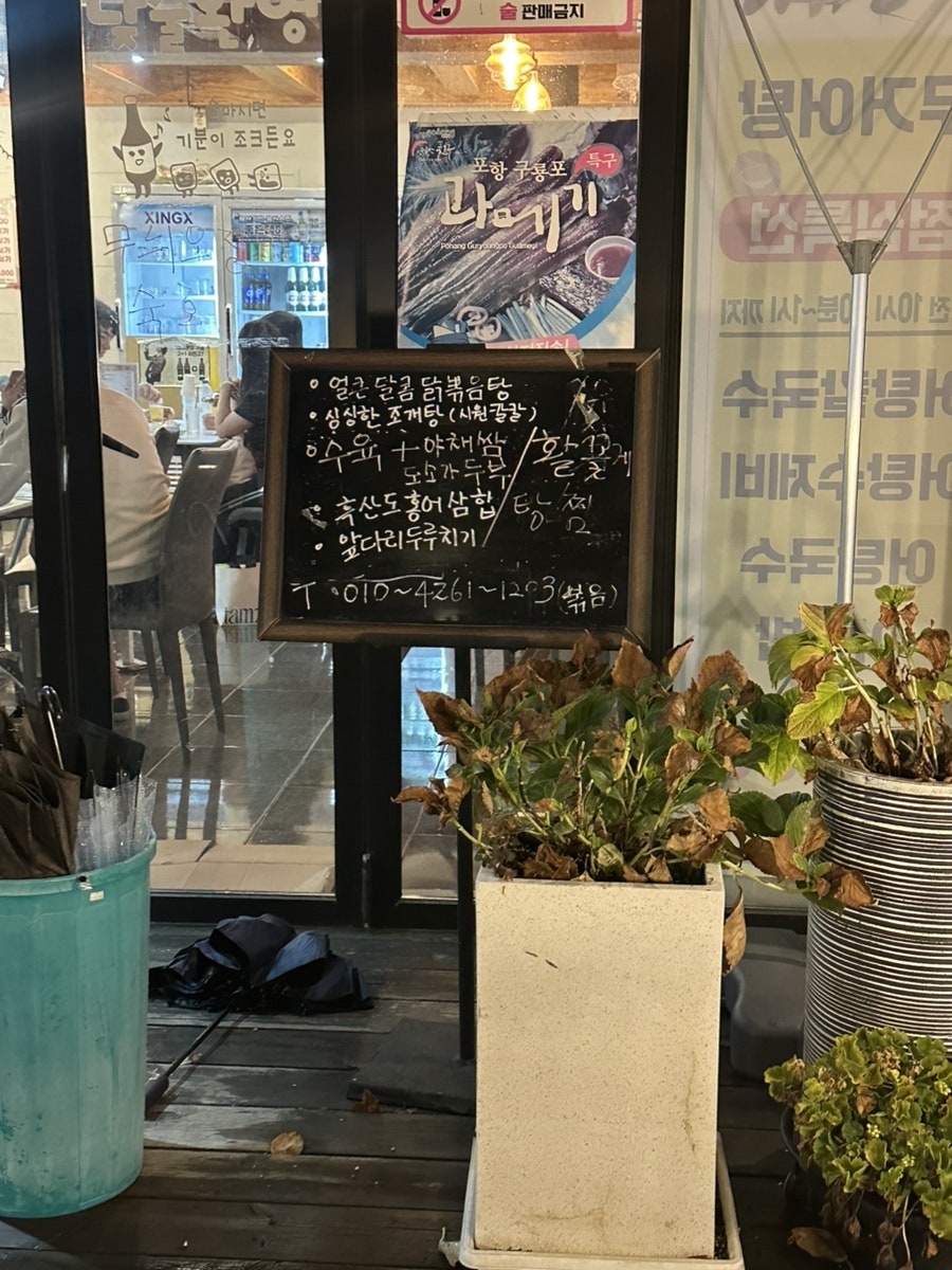 비단구두 사진 3