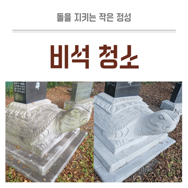  비석청소 왜 필요할까요? 돌을 지키는 작은 정성 돌청소