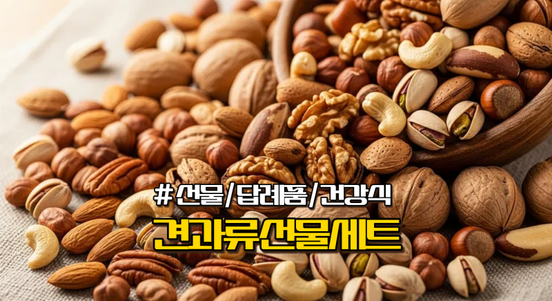 명절·결혼답례품 견과류 선물세트 추천 TOP10!  가격·구성·인기 순위 총정리