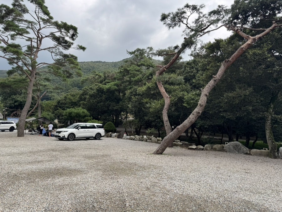 진밭골향기캠핑장 사진 2