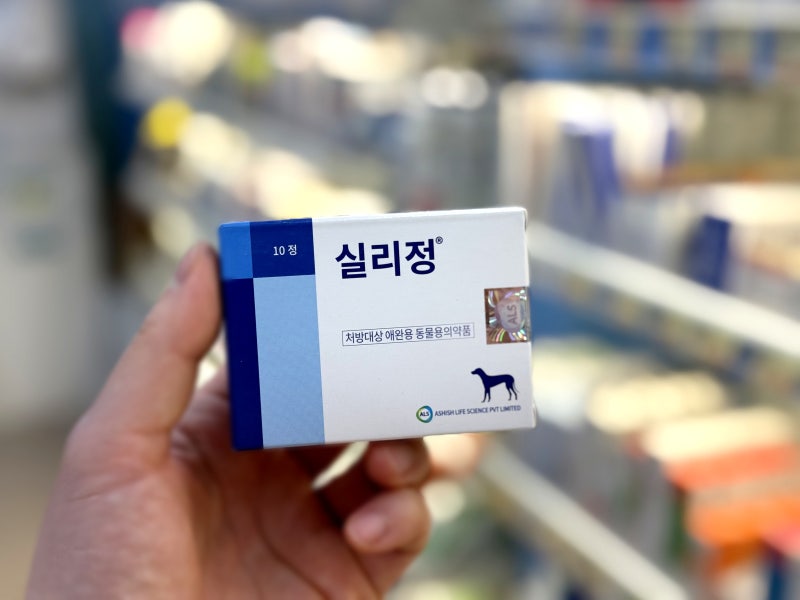 실리정, 강아지 실데나필, 폐동맥 고혈압 심부전 성분 투여방법 (인천 고은약국)