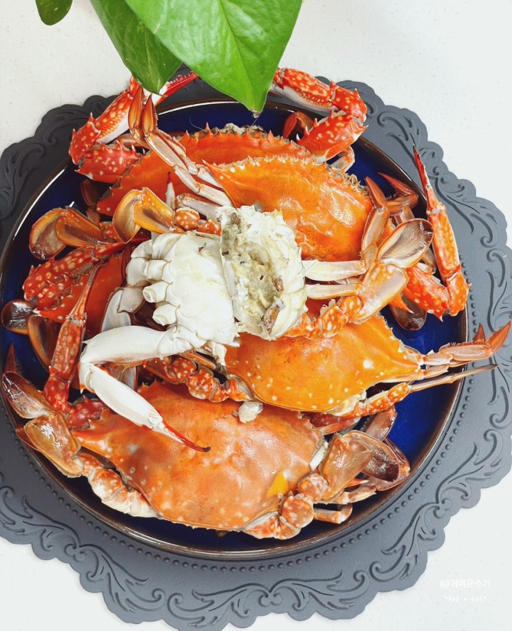  꽃게찌는법 시간 활꽃게찜 레시피 톱밥꽃게 3kg 꽃게찜 손질방법